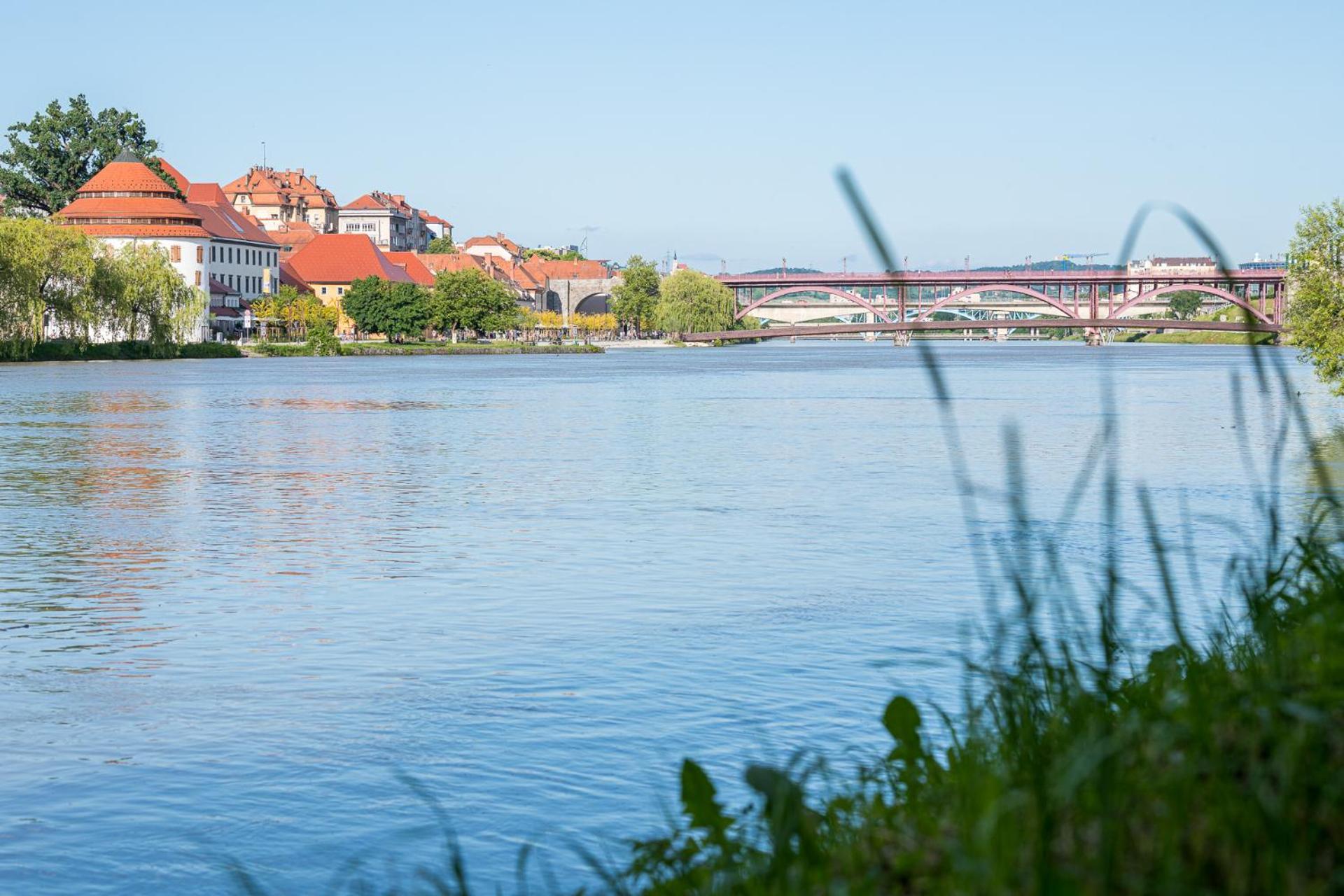 Fani&Rozi B&B Maribor Ngoại thất bức ảnh